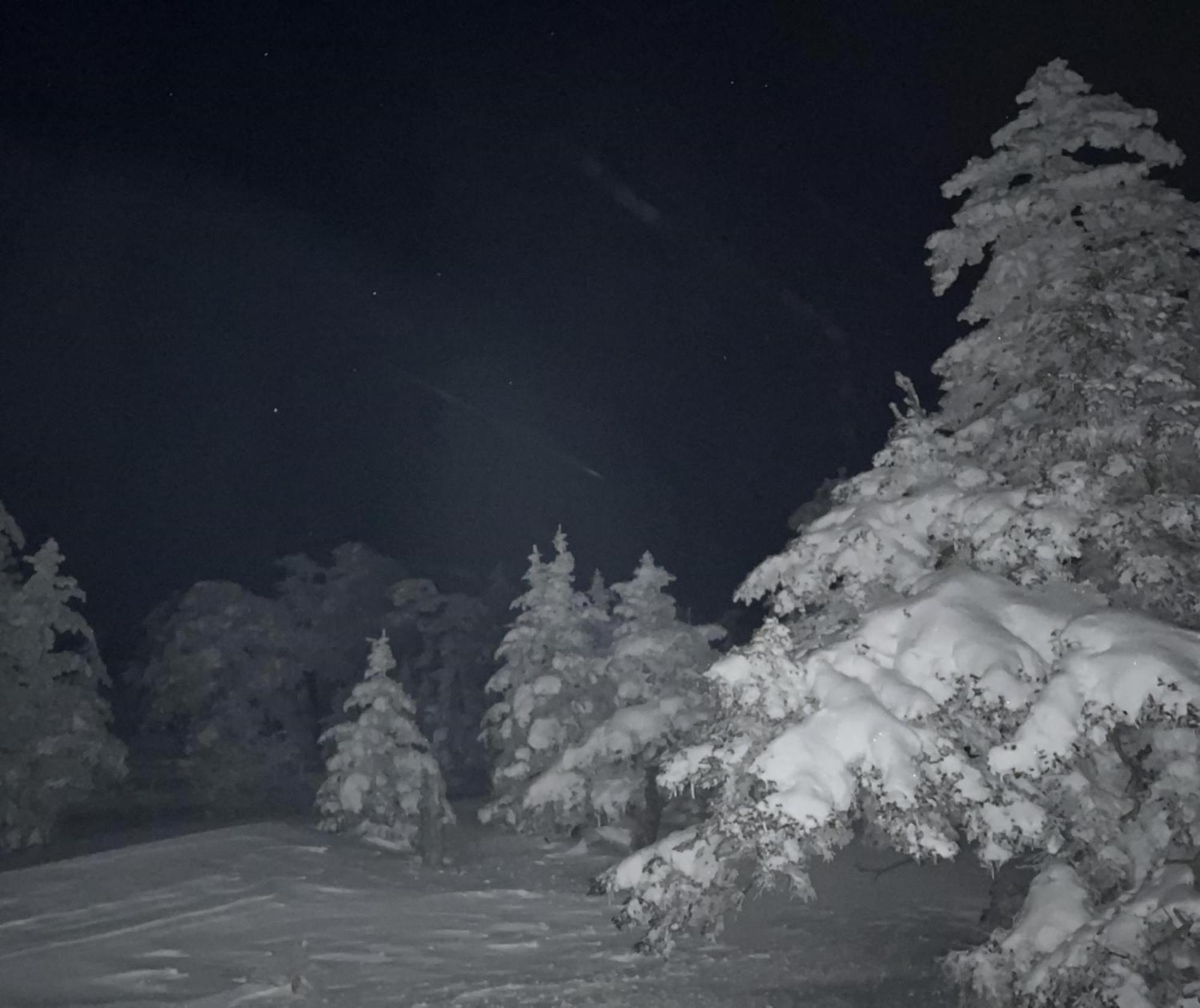 יאמנוצ'י Sachinoyu Hotel Shiga Kogen מראה חיצוני תמונה