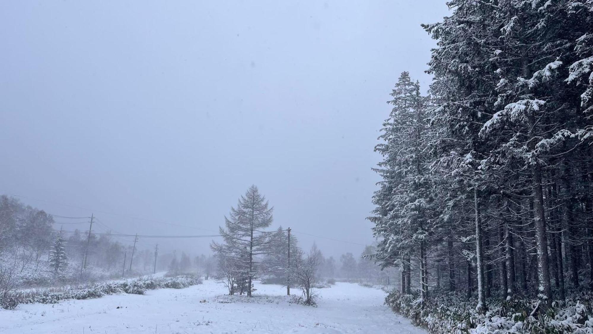 יאמנוצ'י Sachinoyu Hotel Shiga Kogen מראה חיצוני תמונה