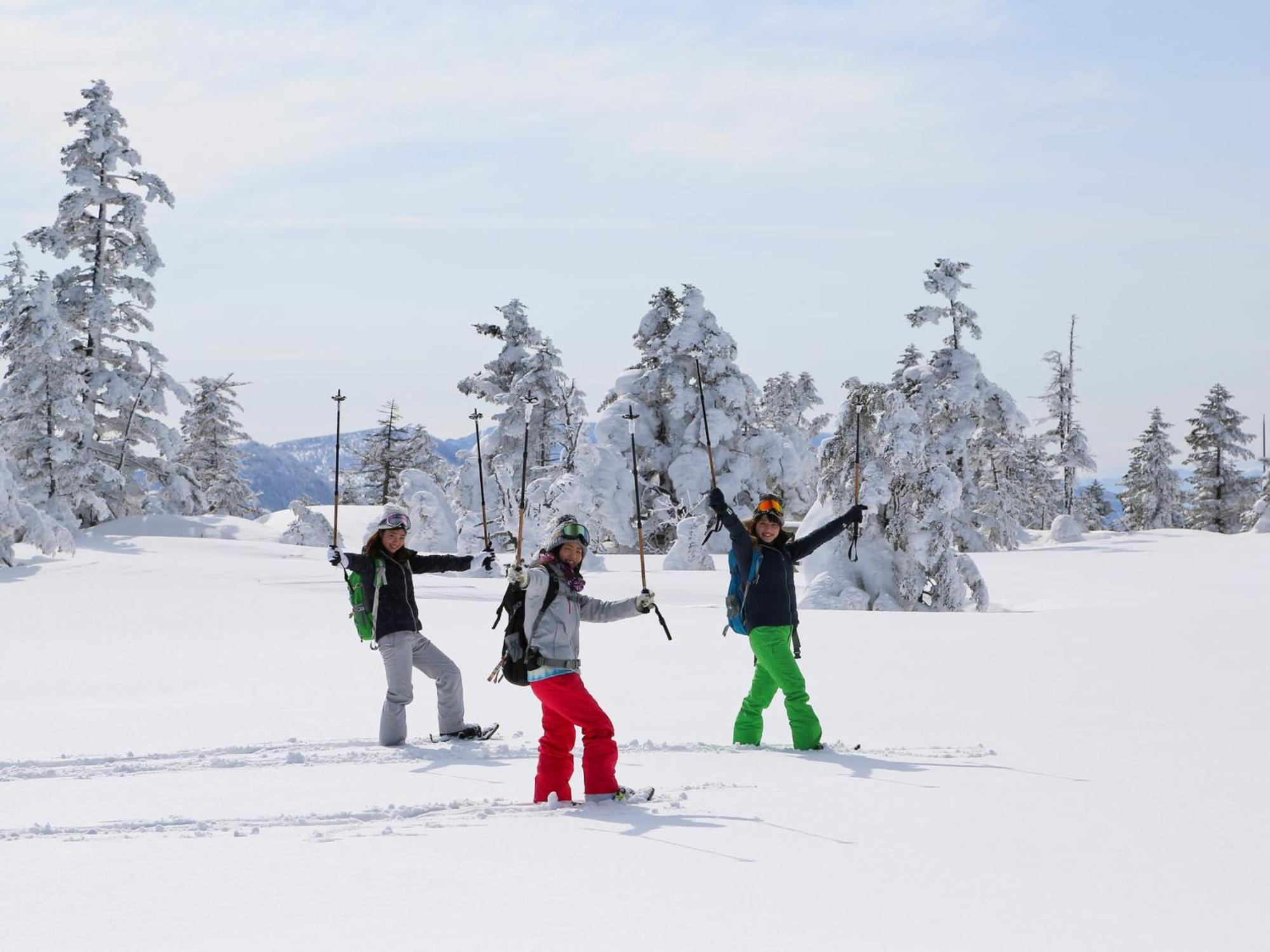 יאמנוצ'י Sachinoyu Hotel Shiga Kogen מראה חיצוני תמונה