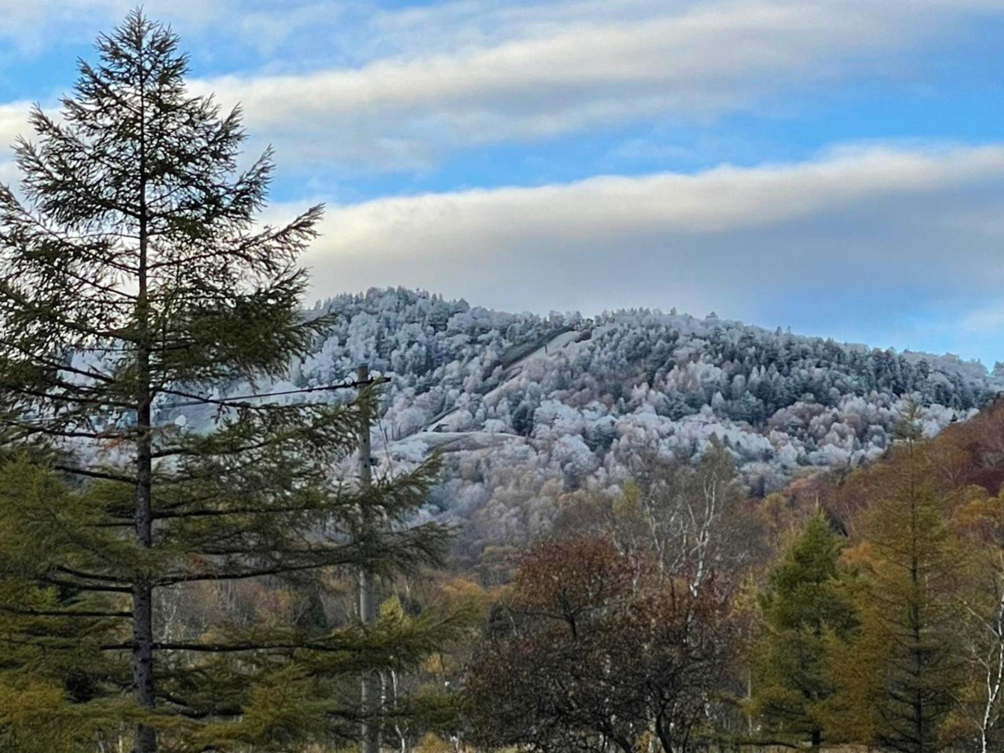 יאמנוצ'י Sachinoyu Hotel Shiga Kogen מראה חיצוני תמונה