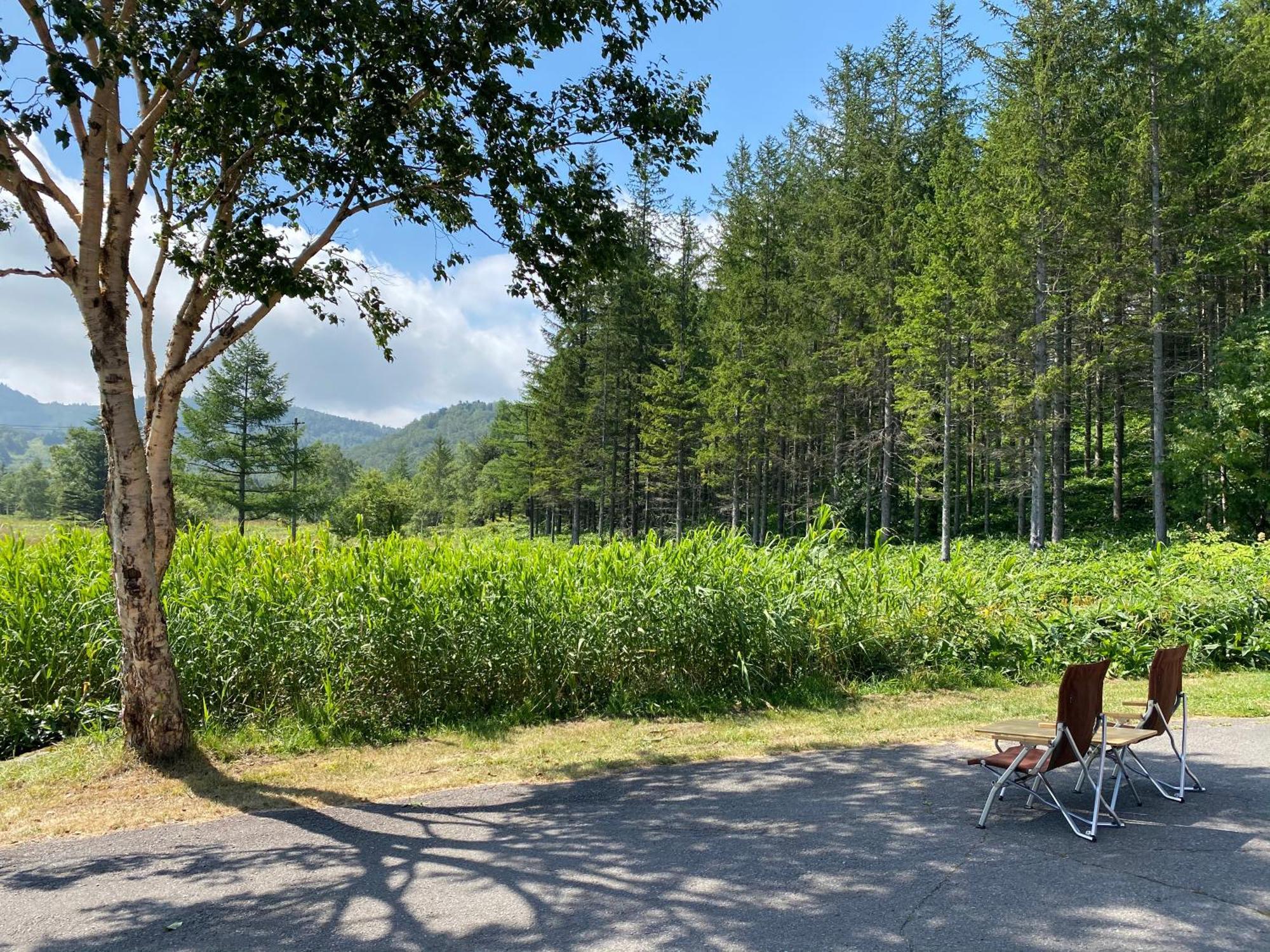 יאמנוצ'י Sachinoyu Hotel Shiga Kogen מראה חיצוני תמונה